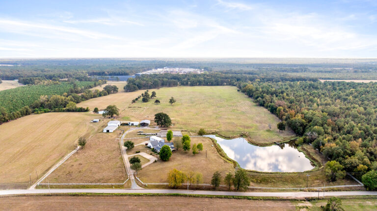 1136 CR 2001 New Boston