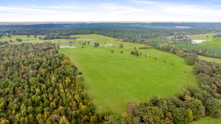 1136 CR 2001 New Boston