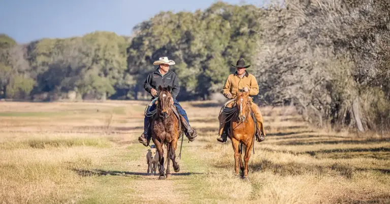 Ranch Real Estate Agent with a Client in Texas