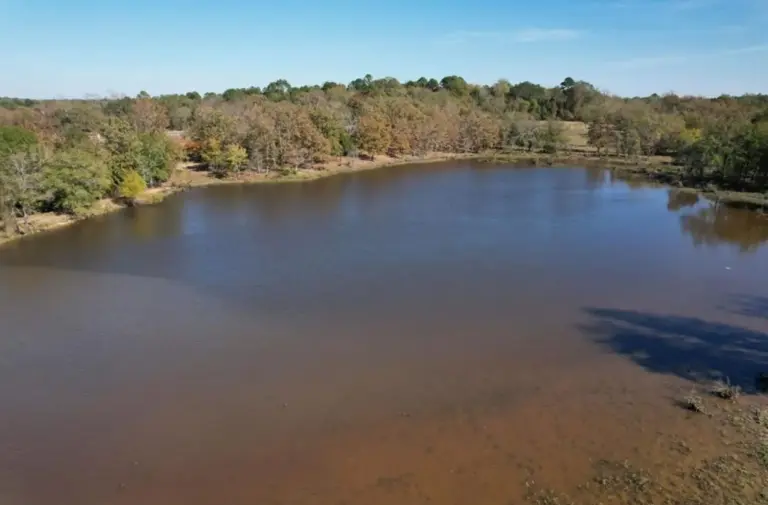 02_a0a1cce5-9108-4376-8adc-a3f1d65caa1e