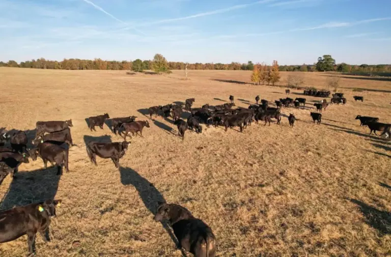 04_e4c36cf9-1186-420d-a8b5-95aed19f3fe6