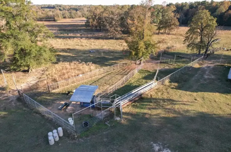 10_e1002ae3-2039-4329-ac00-a25ceb5f190e