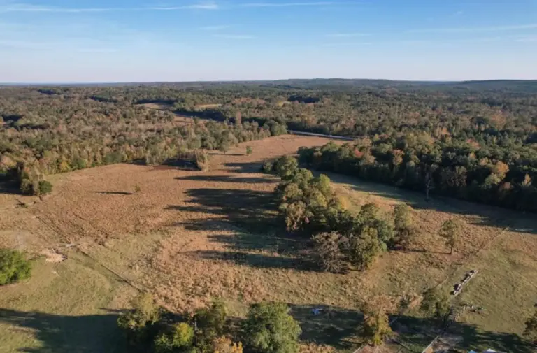 11_8420123f-7776-4ff0-8b11-bd322fe9956f