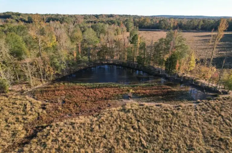 12_ac3e5b2c-e88c-4f9a-8568-3075ab139c07