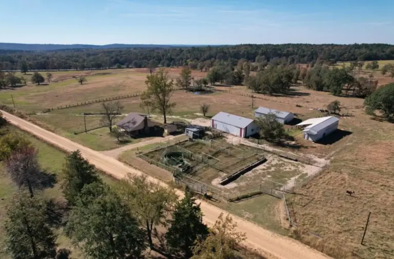 17_a1538392-03eb-4e72-8a67-a3923ab1af76