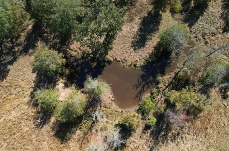 22_28add4de-d65e-4c53-8638-1003e5f59b51