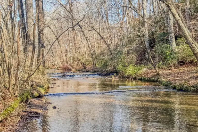 02_349199e0-3da8-416f-9688-f647c799dba7