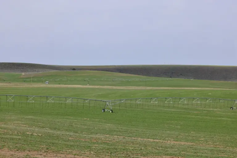 02_e74f08dc-f98c-4a1a-90ae-90fefbb8fd14