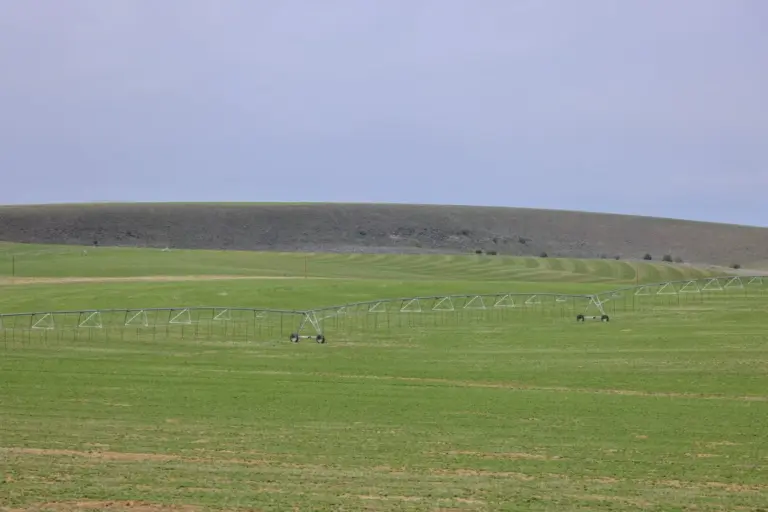 03_63bd2606-af02-4f41-bfcc-312c24857f4e