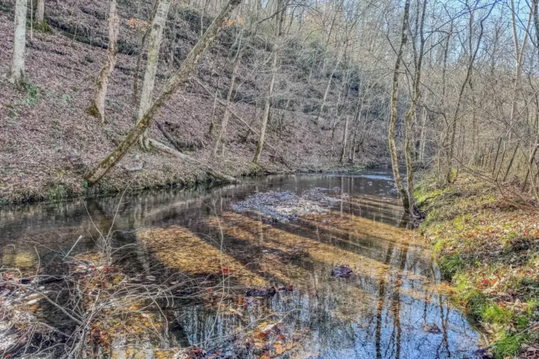 03_d3725d66-da41-407d-8edf-d9d1836adf10