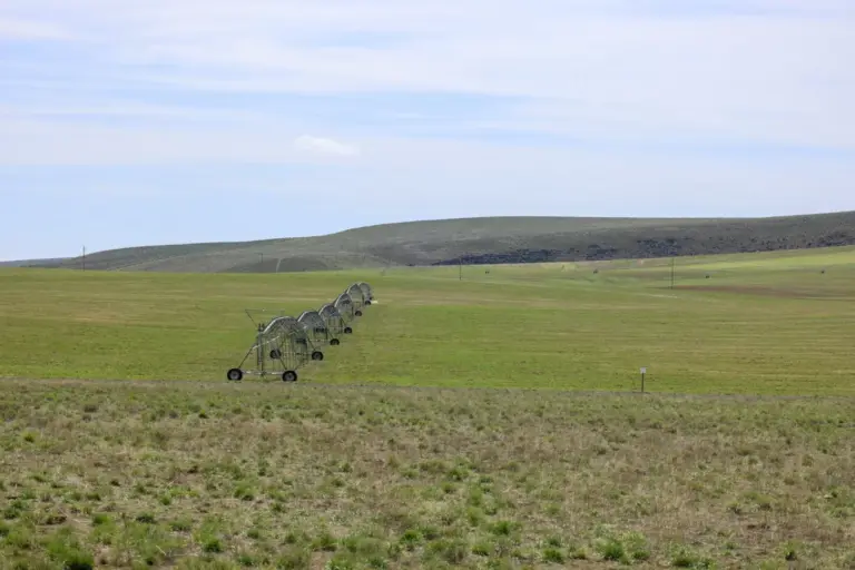 04_89bb09d6-54a6-42bf-9e6c-bfcb6dbeefa3