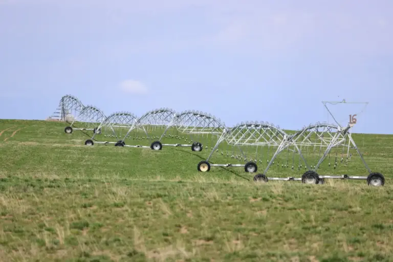 05_8be711fe-c385-4fa8-9332-cc2dec37e503