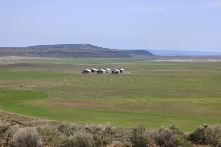 06_5e356f41-01b3-4169-9f1c-84da2949ba41