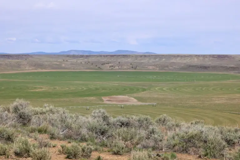 07_b09eda48-9aa3-453c-92ff-2c5cfde5077c