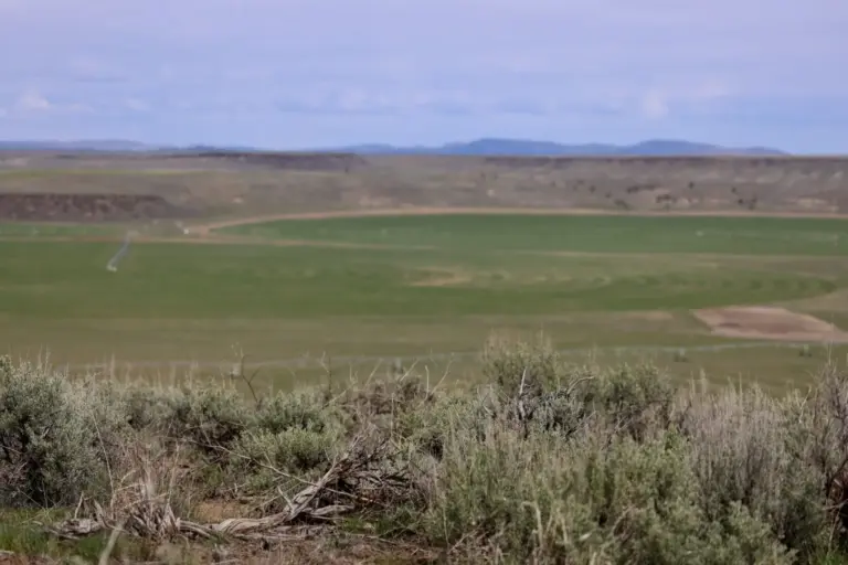 09_59bfa6b2-1ca7-4753-a1ea-bc681d8f53e6