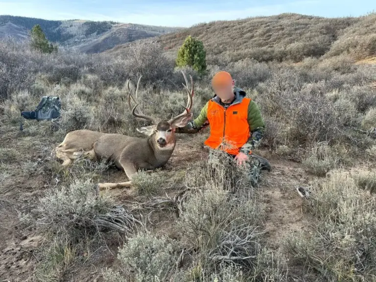 09_8c28ed17-4c53-4da4-b4e0-0afa1279cc00