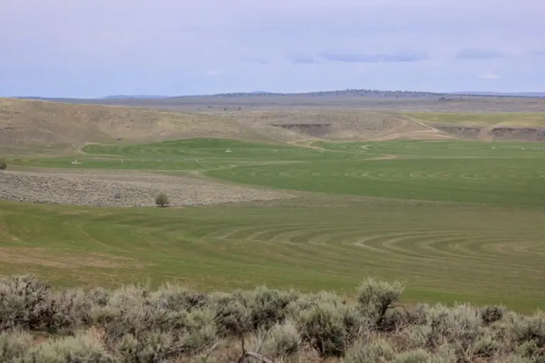 10_7879b25e-722e-4ee8-b673-40f594758681