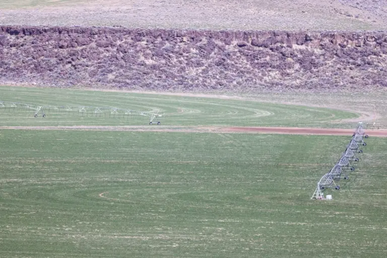 11_921986a1-301c-4a4d-bfde-2d8c51a21352