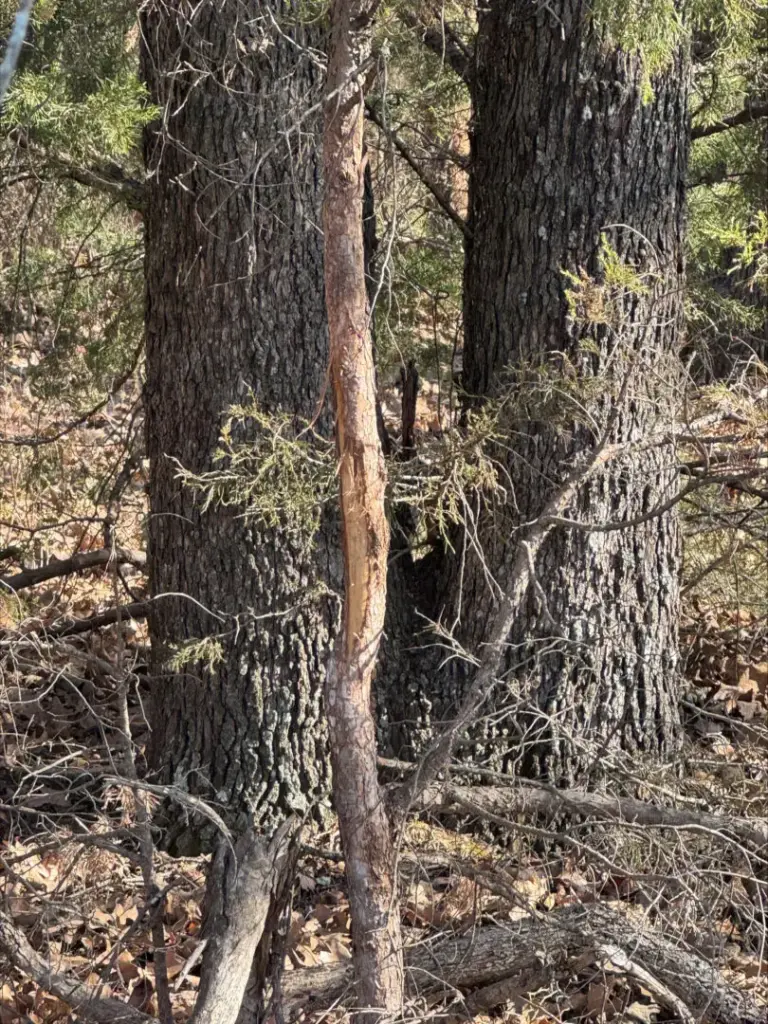 11_e4d858ad-2e99-4824-8682-41bb8c91df10