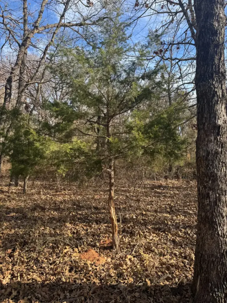 12_72247145-bb72-4275-9825-2453b8d2ca6f