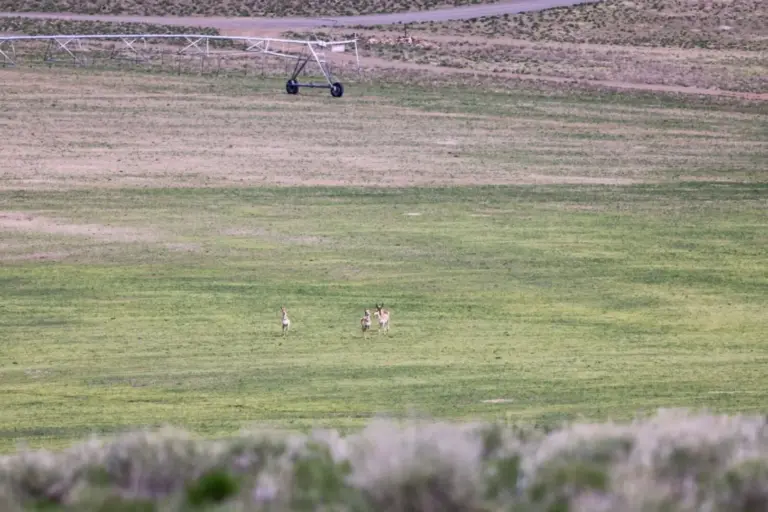 12_b66acb86-a83d-436a-8845-c917aa144bc9