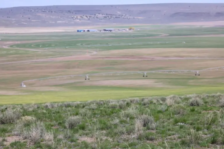 14_61e81a8e-3cb5-4304-b98e-8a1ffbd12ca7