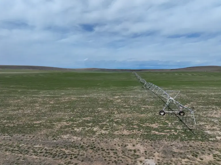 15_3c5c1897-9690-4545-9634-4b0192445ec9