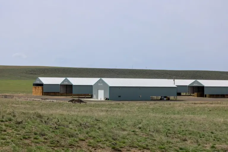 16_24ef7b74-06fc-46c5-80b8-792942494d94