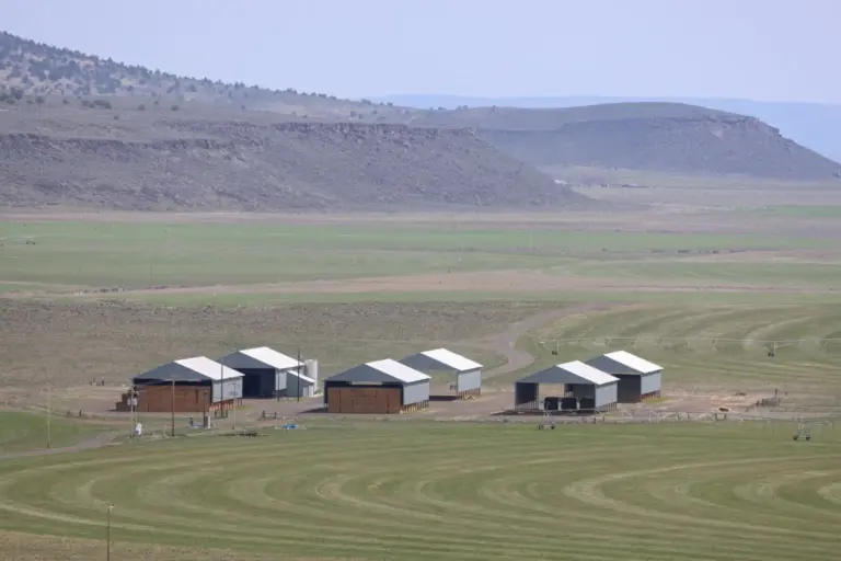 17_36b6952f-702c-40c1-a83b-45d37f31d9e7