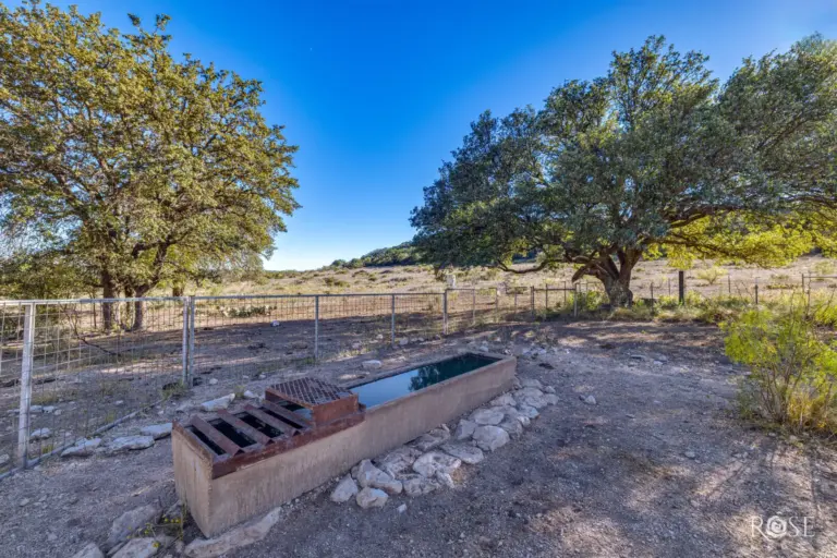 18_91f69b90-5252-42dd-9e1d-21e9e98c8f8b