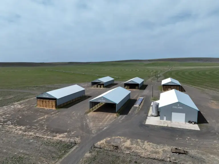 18_c579dd34-ac6c-4db0-9648-4fdbfce27628