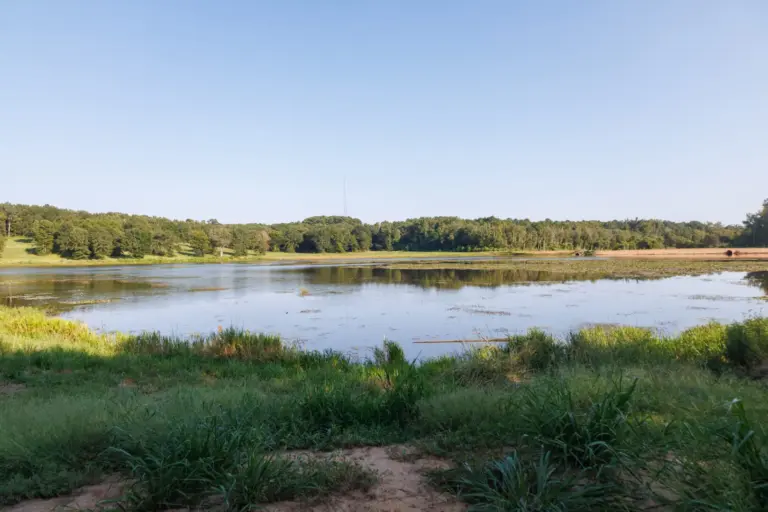 18_d9ab1bb6-506c-45c7-9ccf-ec3f110aa003