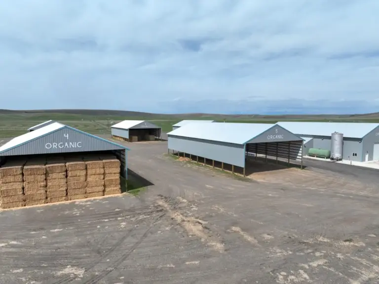 19_1233341f-cdf1-4222-9023-49681e476115