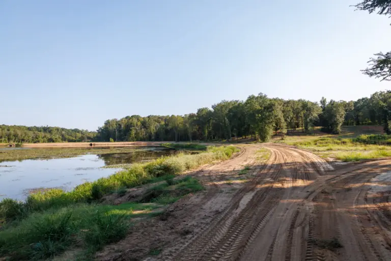 20_bf867860-f57f-4901-aef5-f1f7cc2ac1c0