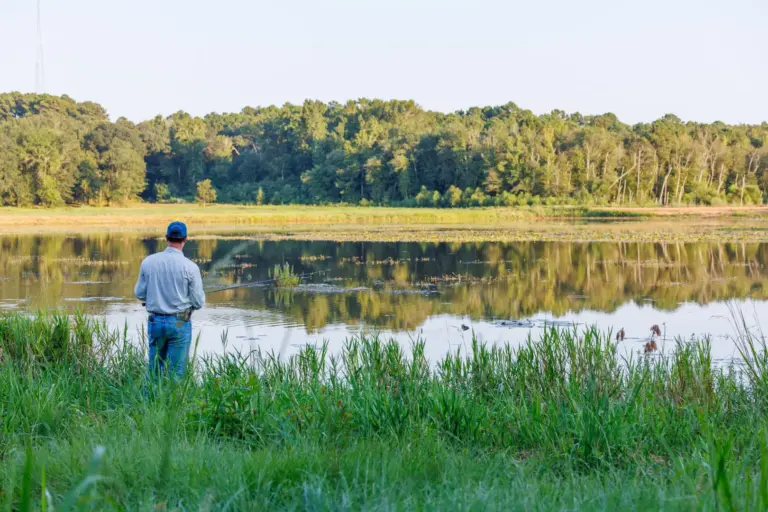 21_5c905f3d-3e47-4d51-8f45-cc2942b594ba