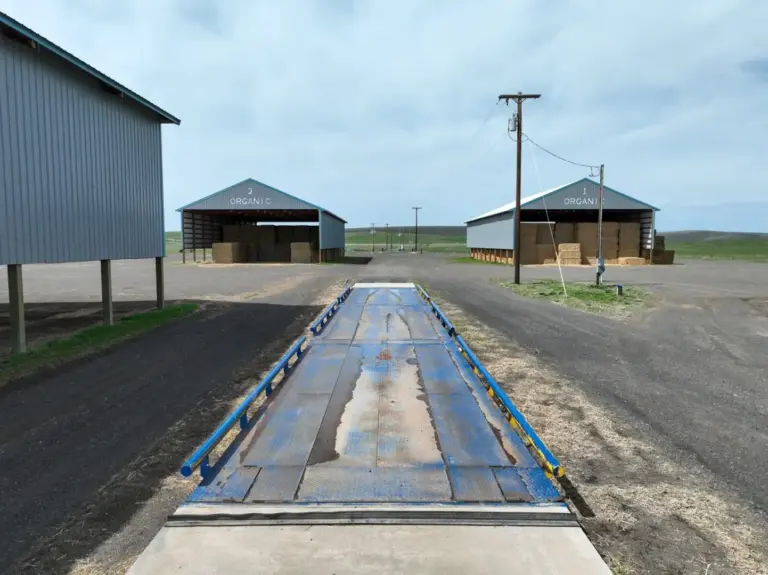 22_7c4661fa-0a3d-41bb-93a6-f62bdac6c581