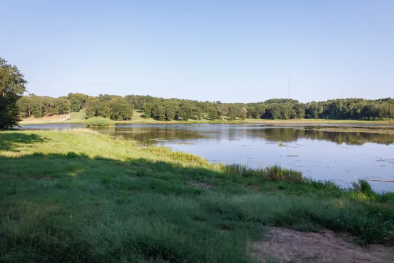 22_e0d770c2-c11f-4ca2-ac33-f184ec1d30b1