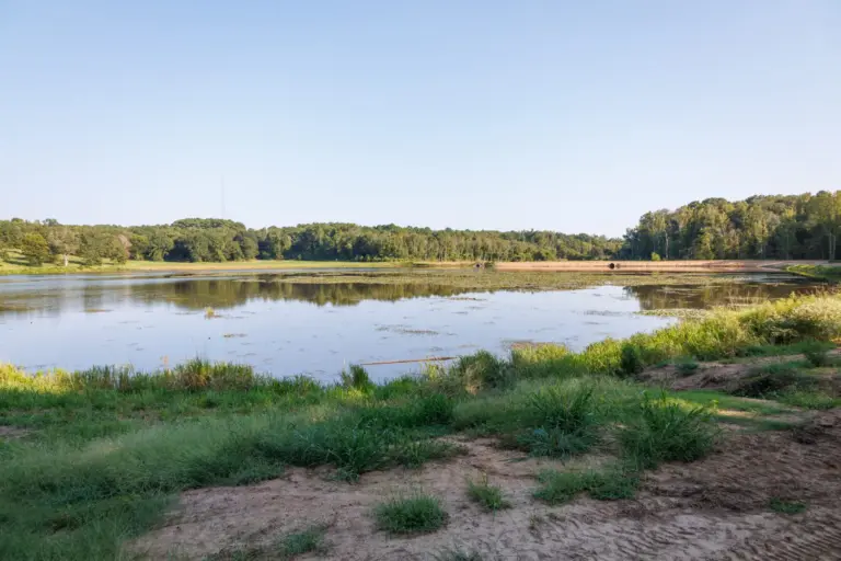 23_dd3a1fcb-5853-44cd-a252-ad66ec636324