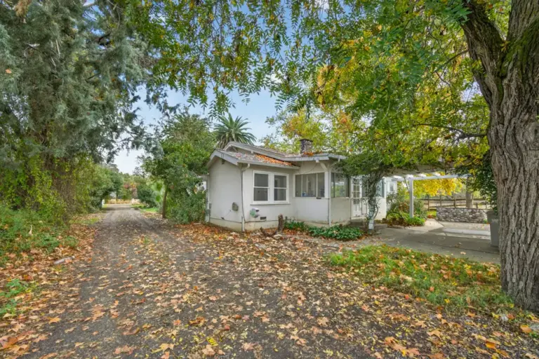 25_8824c175-7eaf-432b-b23c-9e416bb5c8e1