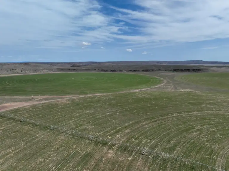 26_e2e2c20a-1e4e-4041-97c2-20f49d277a42