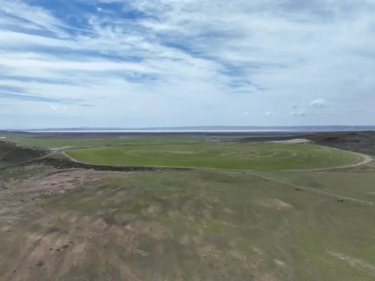 28_3e04dbca-b2f6-42d0-a4b0-fd561dd54f5b