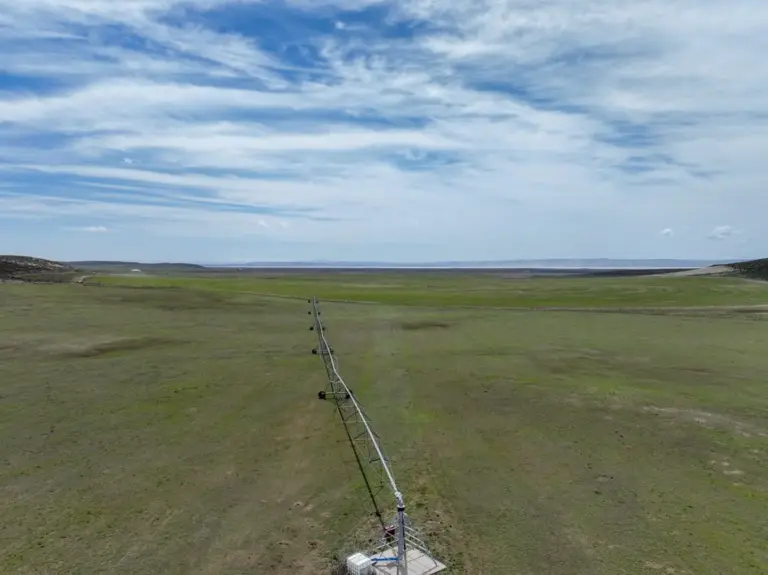 29_5fc04501-922d-42ce-bccb-9904cb270970