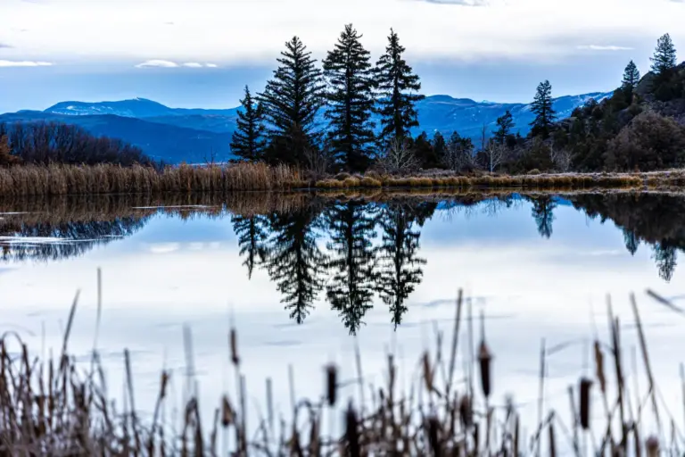 30_e2df9d26-2f6b-4983-bdf4-753de13807ca