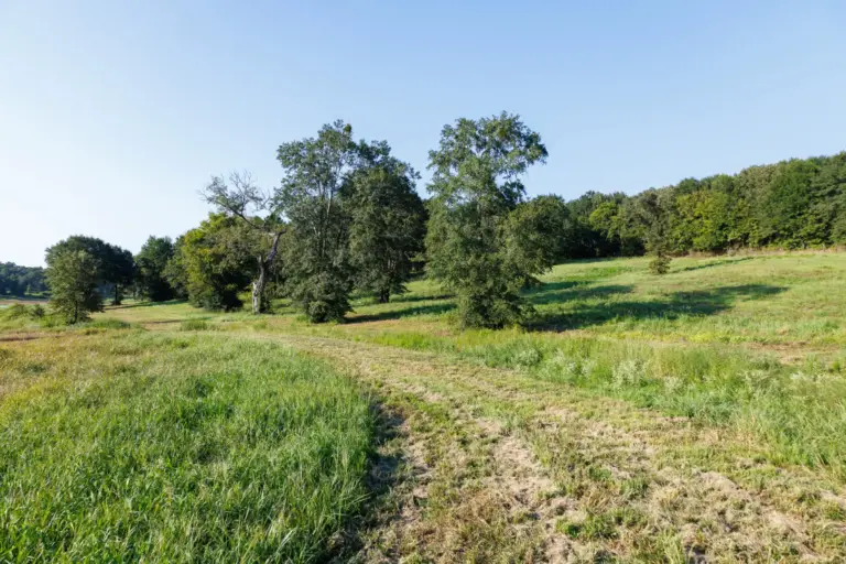 31_a8c3e50f-7095-477c-9251-4530abd29403