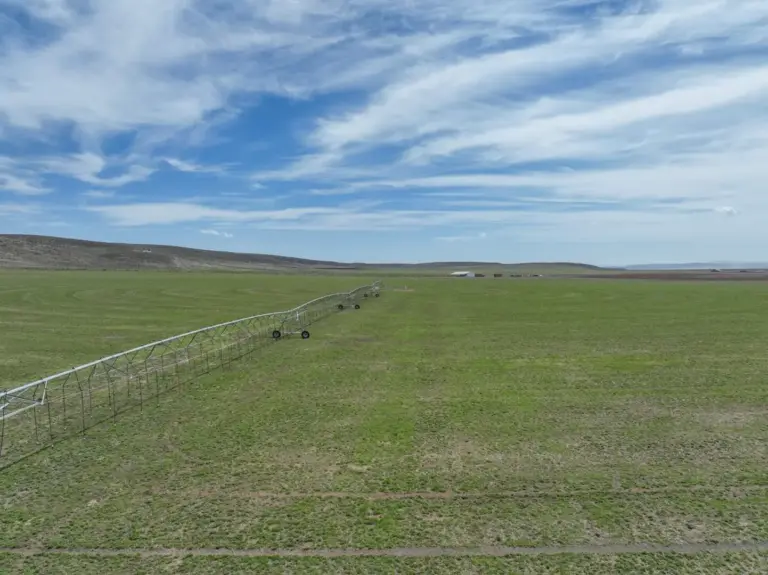 32_b20aa134-1b81-4f86-861b-03fcfa0a1897