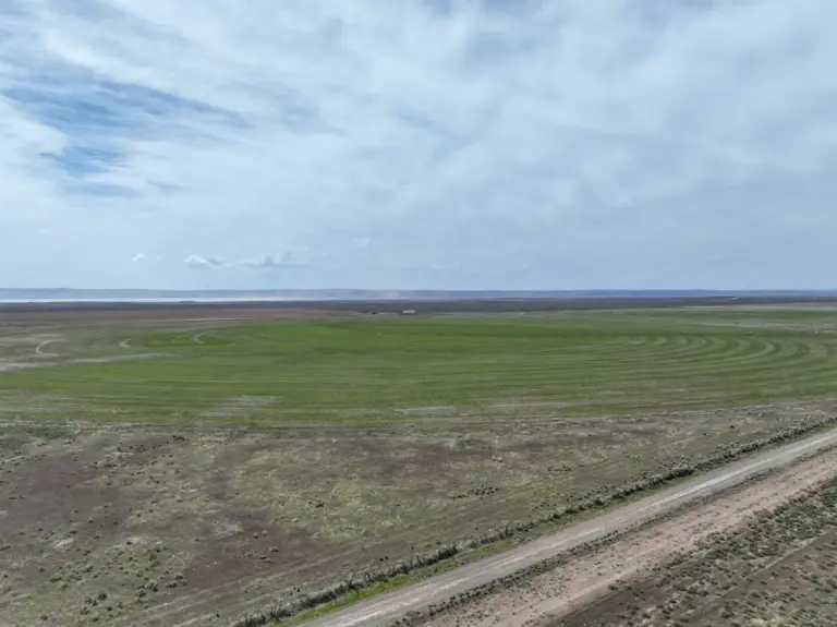 33_bd114ffb-16b2-42d7-a902-b36badb537e2