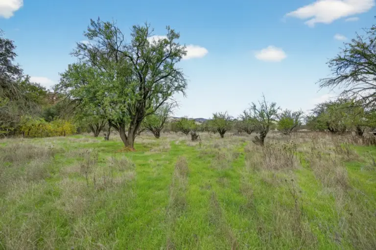 34_55c86e7f-b473-442d-a38b-8a10d5421007