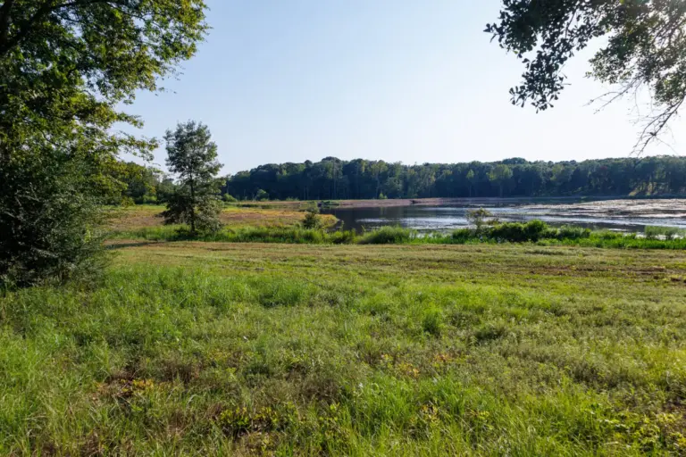 35_b538a5db-e30e-4da3-bce6-e9a9ed80f763