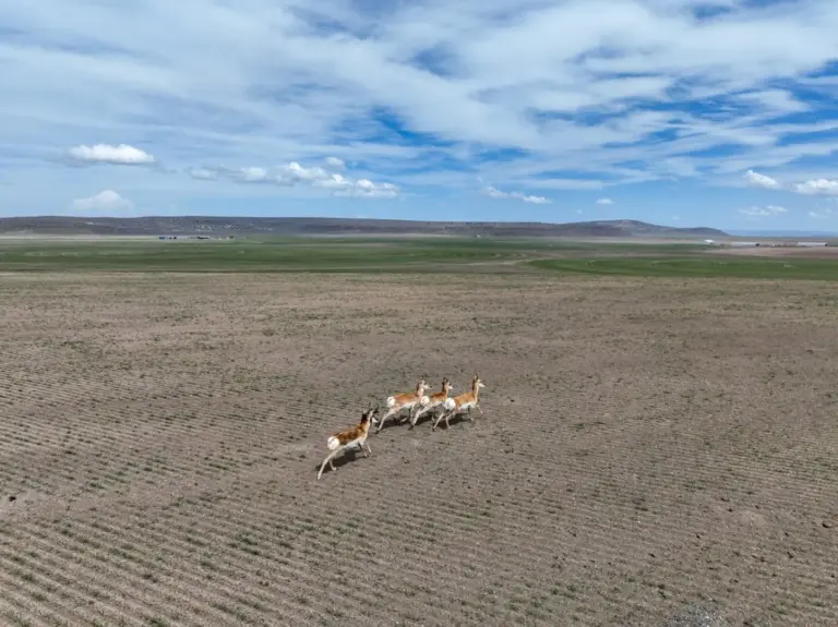 36_cd9bedb0-3a98-45f8-b217-c55b3f8f5d8d