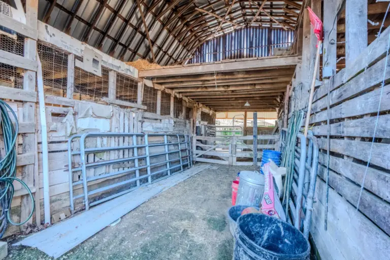 38_f9449ac9-a56a-4f7e-a7f5-409a075618e2